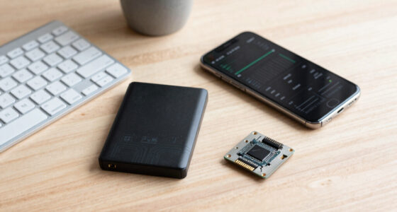Build, Rent, or Quantize: Cutting Your Memory Bill Without Cutting Capability